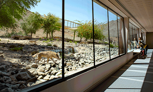 Al Hefaiyah Mountain Conservation Centre 3