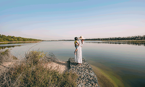 Wasit Nature Reserve 1