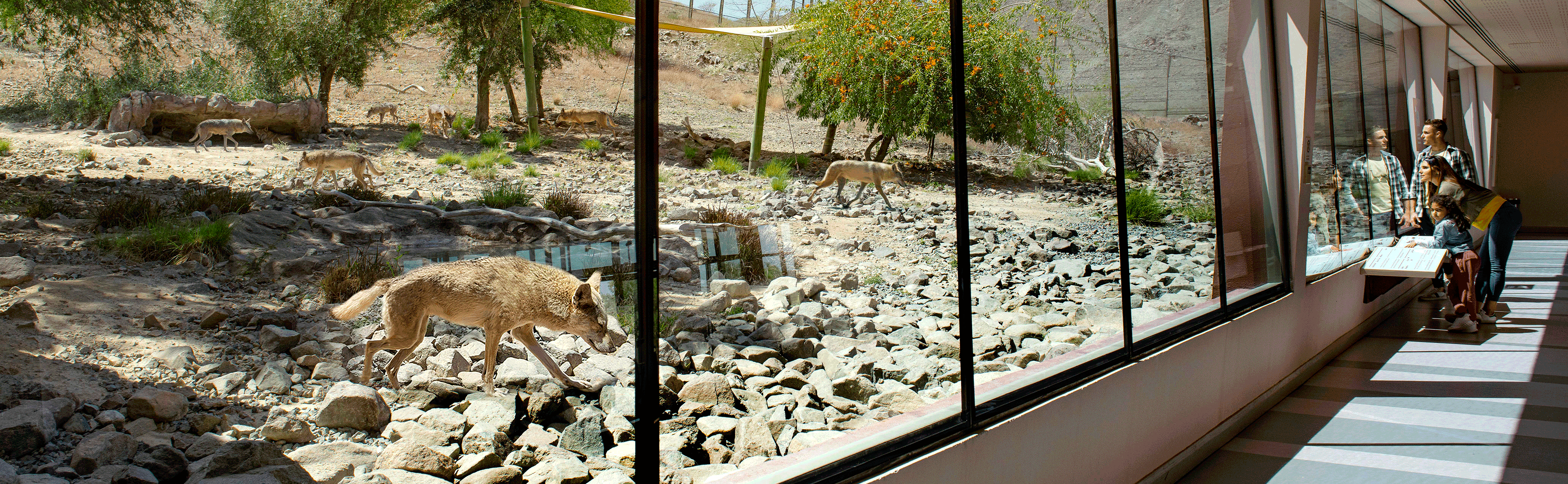 Al Hefaiyah Mountain Conservation Centre 1 (1)