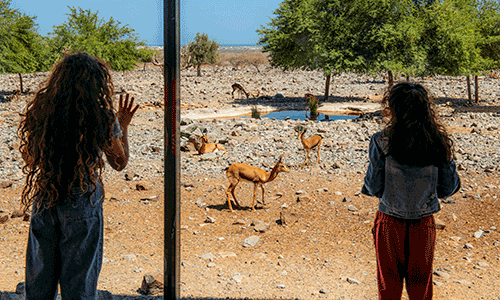 Al Hefaiyah Mountain Conservation Centre